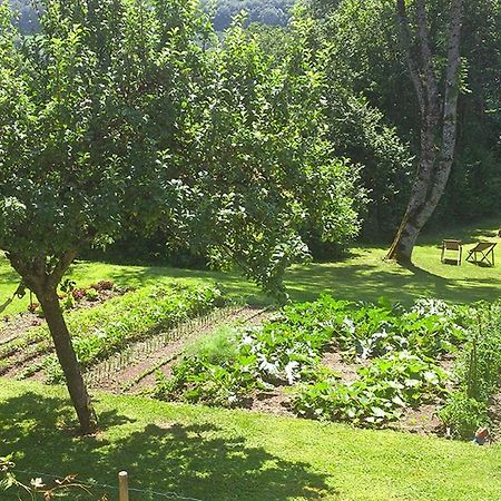 L'Ourserie Bed & Breakfast Saint-Paul-en-Chablais Exteriör bild