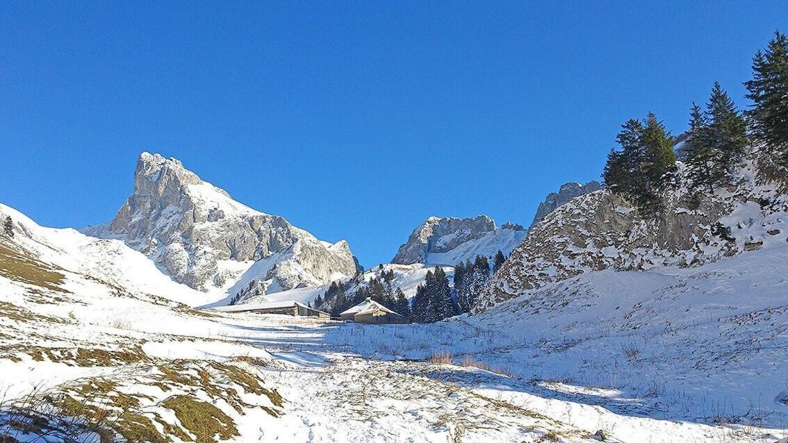 L'Ourserie Bed & Breakfast Saint-Paul-en-Chablais Rum bild
