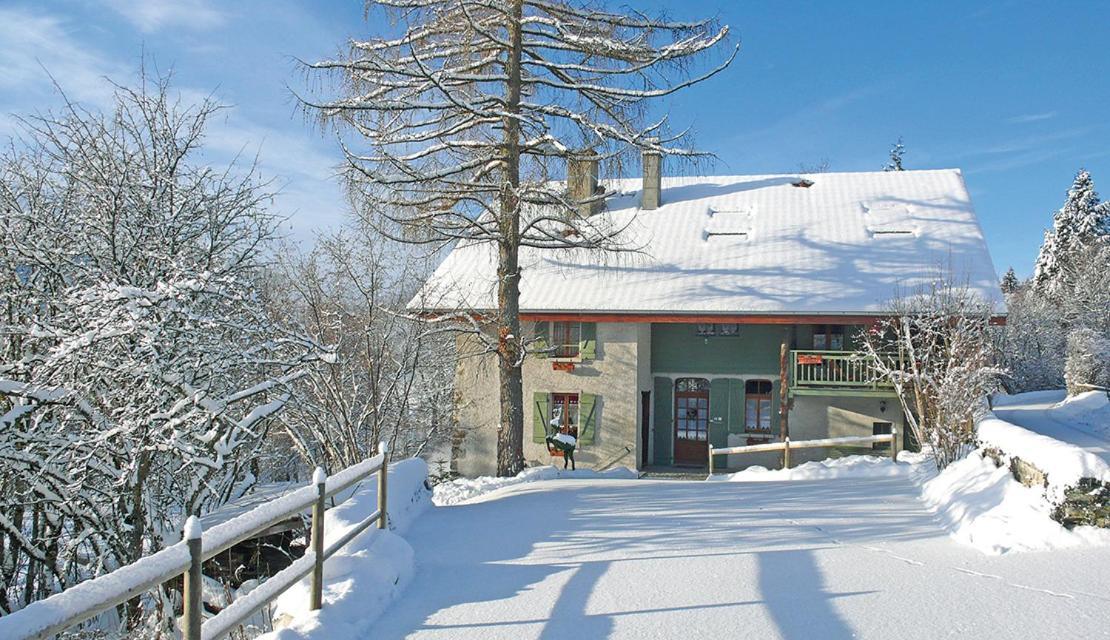 L'Ourserie Bed & Breakfast Saint-Paul-en-Chablais Rum bild