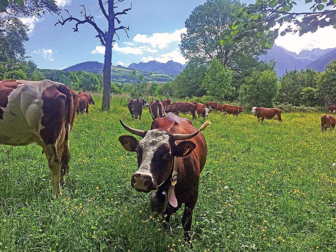 L'Ourserie Bed & Breakfast Saint-Paul-en-Chablais Rum bild
